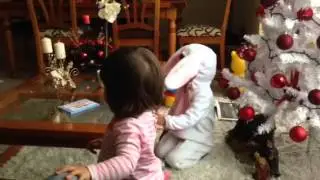 Conejito en la Pascua equivocada...