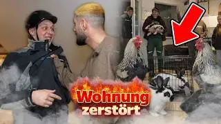 Jordan ZERST&Ouml;RT Semihs WOHNUNG (Tiere kommen rein)