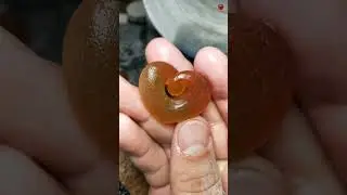 #carvingseries #carvingthecore #carvingstone #carvingwax #carvingsoap #carvingsocialclub #carving
