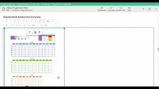 Adding image or assessment grid to report