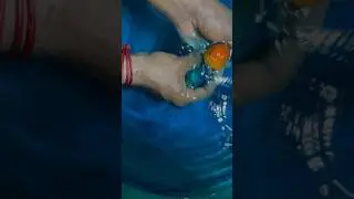 🤩😱Oranda Goldfish taking blue water bath🧼🐠| quarantine new fishes | #oranda #goldfish