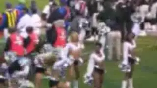 Oakland Raiderettes