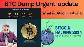 BTC Halving | Halving Explained | #halvingbitcoin #btchalving