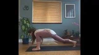 Vagus Nerve Yoga: Instinct and Intuition for Trauma Release