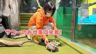 謎に包まれたタケスイスタッフ、サコ―さんのお仕事紹介