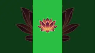 Green Screen Kamal | Green Screen lotus | Free VFX & Chroma Key Video Effects #freegreenscreen