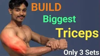 How to Build Triceps | Bigger Triceps | Tricpes Workout | Better Triceps Workout | Massive Workout |