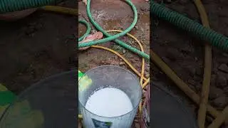 ഇപ്പൊ കൊടുക്കാൻ പറ്റിയ ഏറ്റവും നല്ല വളം