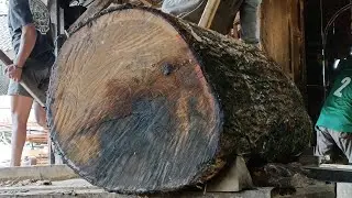 Through several journeys in deep wood processing operations | Sawing wood is very hard and extreme 