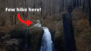 Hiking a lesser-known, BEAUTIFUL Columbia Gorge waterfall!