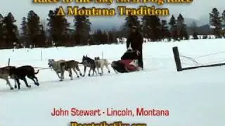 Sled Dog Race - Race to the Sky 2009