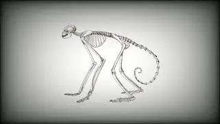 Horror Dubstep Type Beat | 