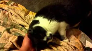Tilly's sweet. Who knew?