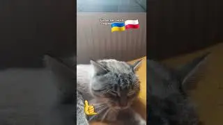 18 лютого 2025 р.