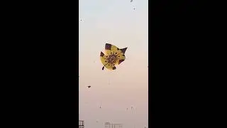 Pindi Basant Mela Mix Videos | Patang Bazi festival in Pakistan | Kite Fighting Pipa Combate