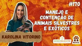 Manejo e Contenção de Animais Silvestres e Exóticos com Karolina Vitorino (ep 170 temp 2)
