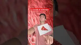 Entrar al est&oacute;mago 😂😂