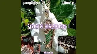 remy (feat. yunglights & slime p)