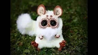 50 most beautiful animals you won't believe actually exist 2018