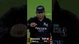 &copy;️ gets &copy;️Skipper strikes gold! ☝️#HBLPSL8 | #SabSitarayHumaray | #IUvPZ