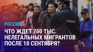 В России истекает срок легализации мигрантов. Сколько стоит попасть на 