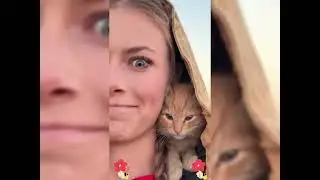 2026 Must-Watch Crazy Clips Compilation #humor #fypシ #pov #fyp #foryou