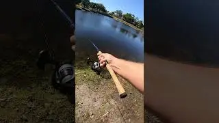 Bass on Zman StreakZ jerkbait - Port St Lucie, FL