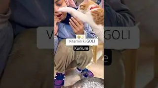 Meet my vitamin ki goli🐯 #cute #ytshorts #cat #pets #trending#minivlog#viral