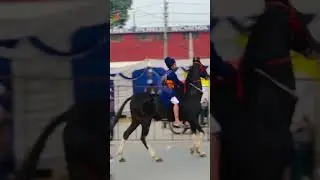 Bhujhangi Singh Horse Riding #nihangsingh #shorts