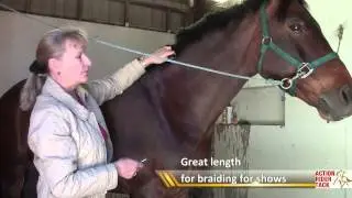 How to Pull a Horse's Mane
