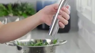 hansgrohe Focus Single Hole Kitchen Faucet