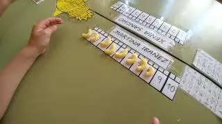 CONCEPTO N&Uacute;MERO: ORDINAL Y CARDINAL