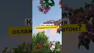 Как спастись от жары 