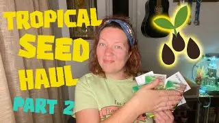 Could you grow a tropical garden from seed on a budget? 🦩💸  𝓅𝒶𝓇𝓉 𝓉𝓌𝑜🌴