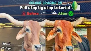 Full colour grading tutorial on snapseed | in hindi on mobile | Photo editing on snapseed