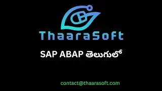 2 - ABAP Selection Screens