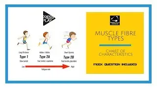 Muscle Fibre Types Chart of Characteristics