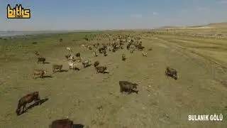 Bulanık (Haçlı) Gölü - Bulanık/MUŞ
