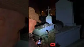dog possessed prank! part.86 #glume #viral #dog #prank #caine #funny #possessed #dogshorts #devil&nbsp;
