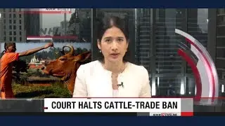 Japanese Media on INDIAN Court Halts Cattle-Trade BAN | Latest | Year 2017