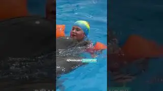 Journey into the World of Dolphins: Underwater Adventure |#shortsfeed #shorts #shortsvideo #viral