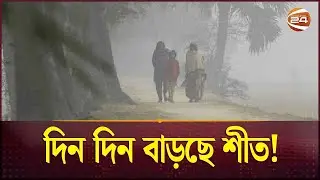 দিন দিন তাপমাত্রা কমে বাড়ছে শীত | Winter Season Bangladesh | Cold Weather | Channel 24