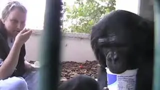 Liz and Bonobos May 18, 2019