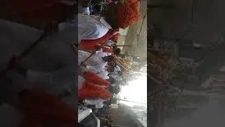 valimiki janti 5.10.2017 basai dara pur