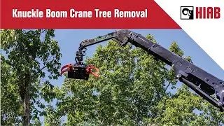 Knuckle Boom Crane Tree Removal: Transforming Arboriculture with Hiab