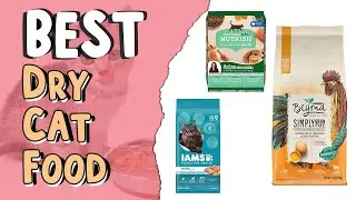 Top 5 Best Dry Cat Food | &lrm;Tips for Choosing Cat Food | Best Dry Cat Food for Healthy Coat,