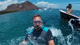 3-dages udflugt til Komodo og Rinca øerne | Unique Travel