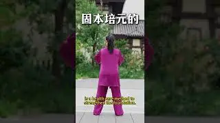 站桩十分钟跟练版 #站桩 #太极 #桩功 #陈氏太极拳 #豫记