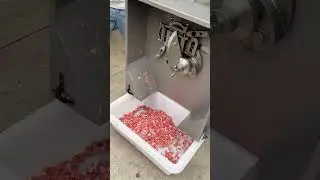 MNS-QD350 Frozen Meat Dicer Machine (WhatsApp:+86-13733892205)