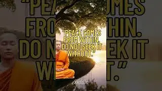 Buddha Quote - Peace Come From Within